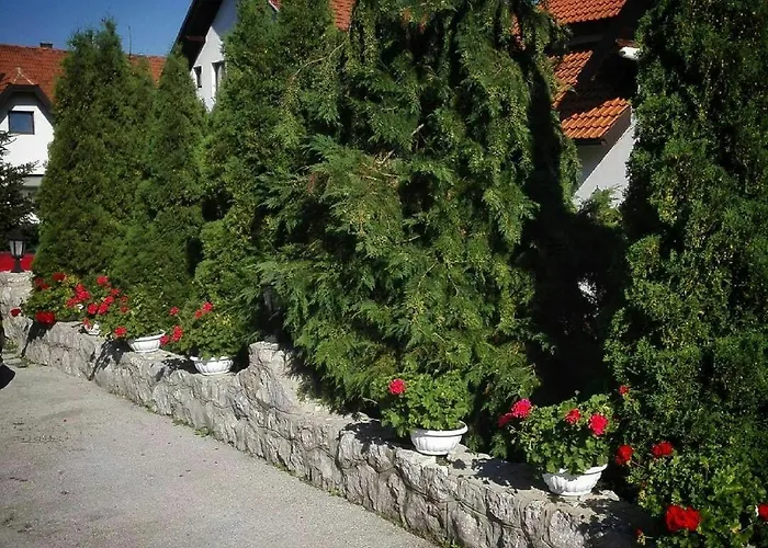 Bozovic Mv Apartments