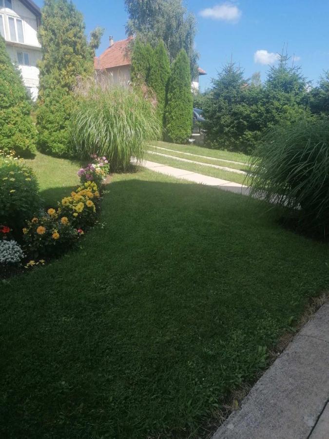 Bozovic Mv Apartment *