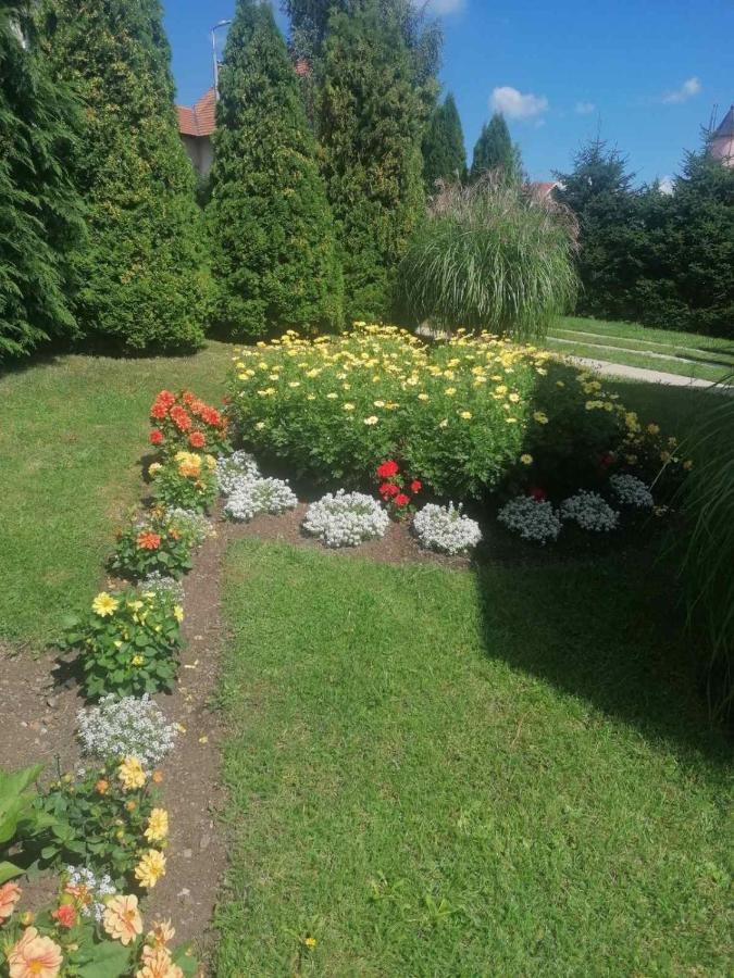 Bozovic Mv * Zlatibor