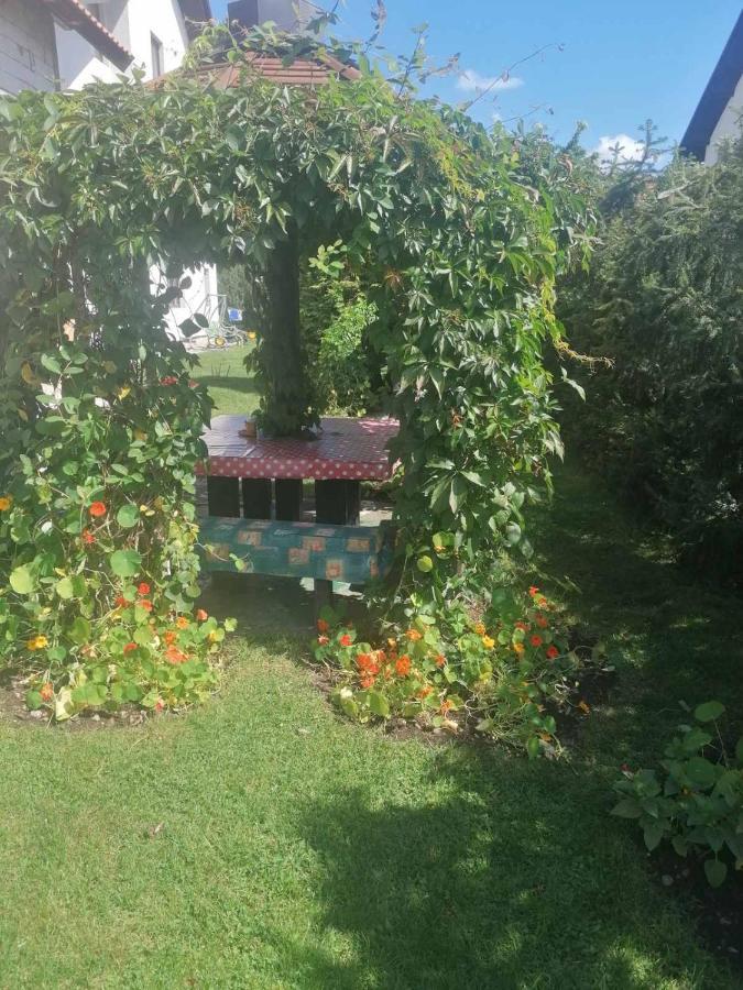 Apartment Bozovic Mv *