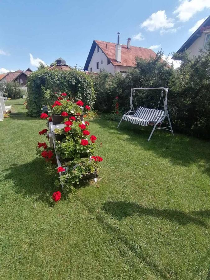 Apartment Bozovic Mv