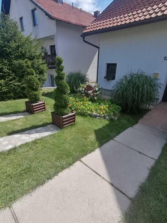 Apartment Bozovic Mv *