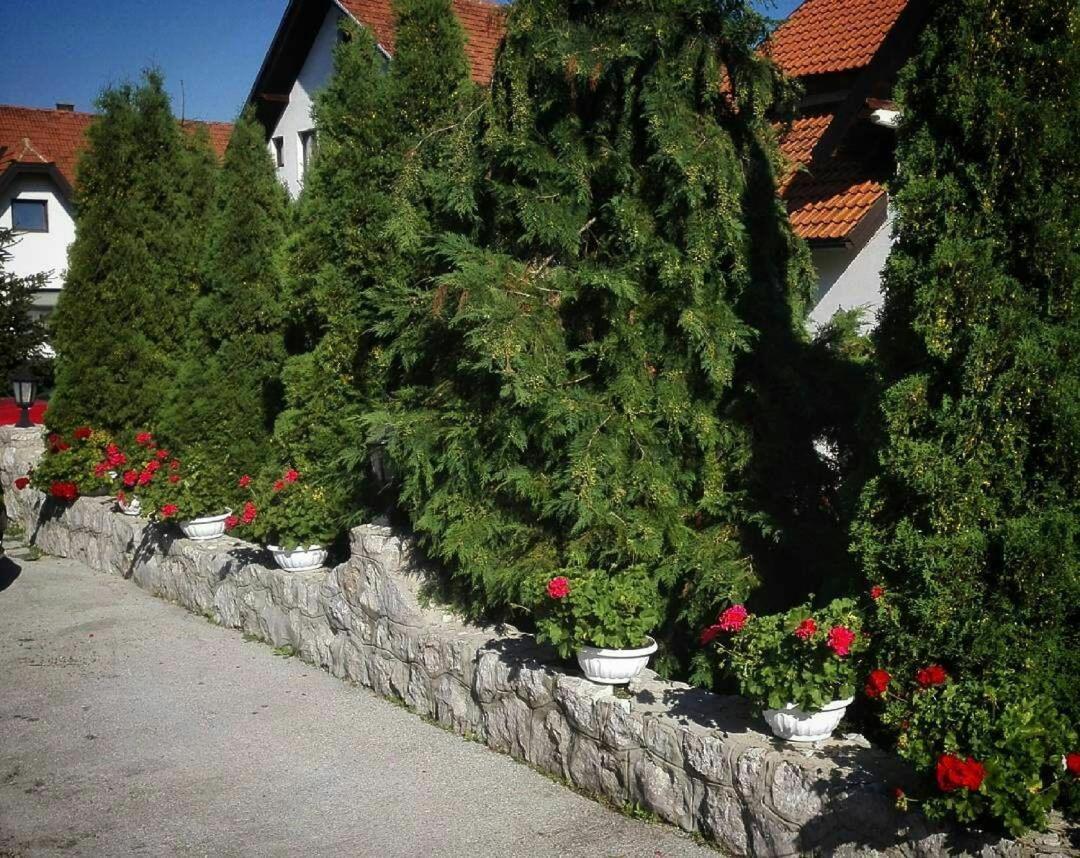 Bozovic Mv